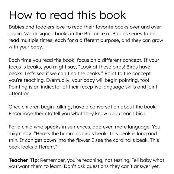 Colorful Birds Board Book