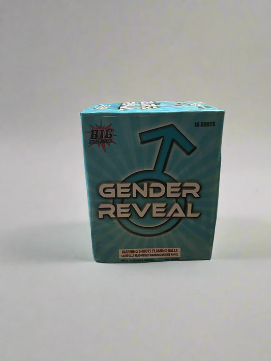 BIG Fireworks Gender Reveal
