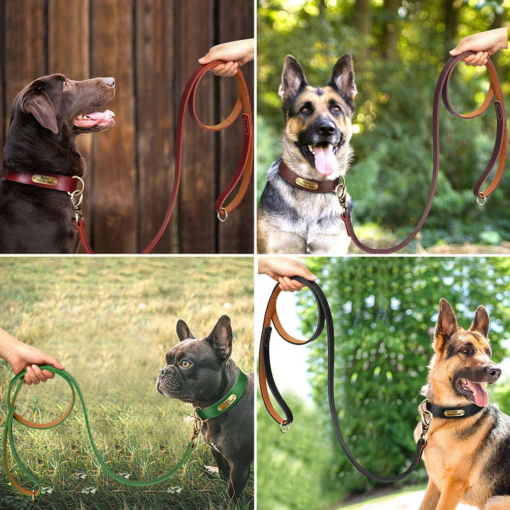 The Classic Leather Lead