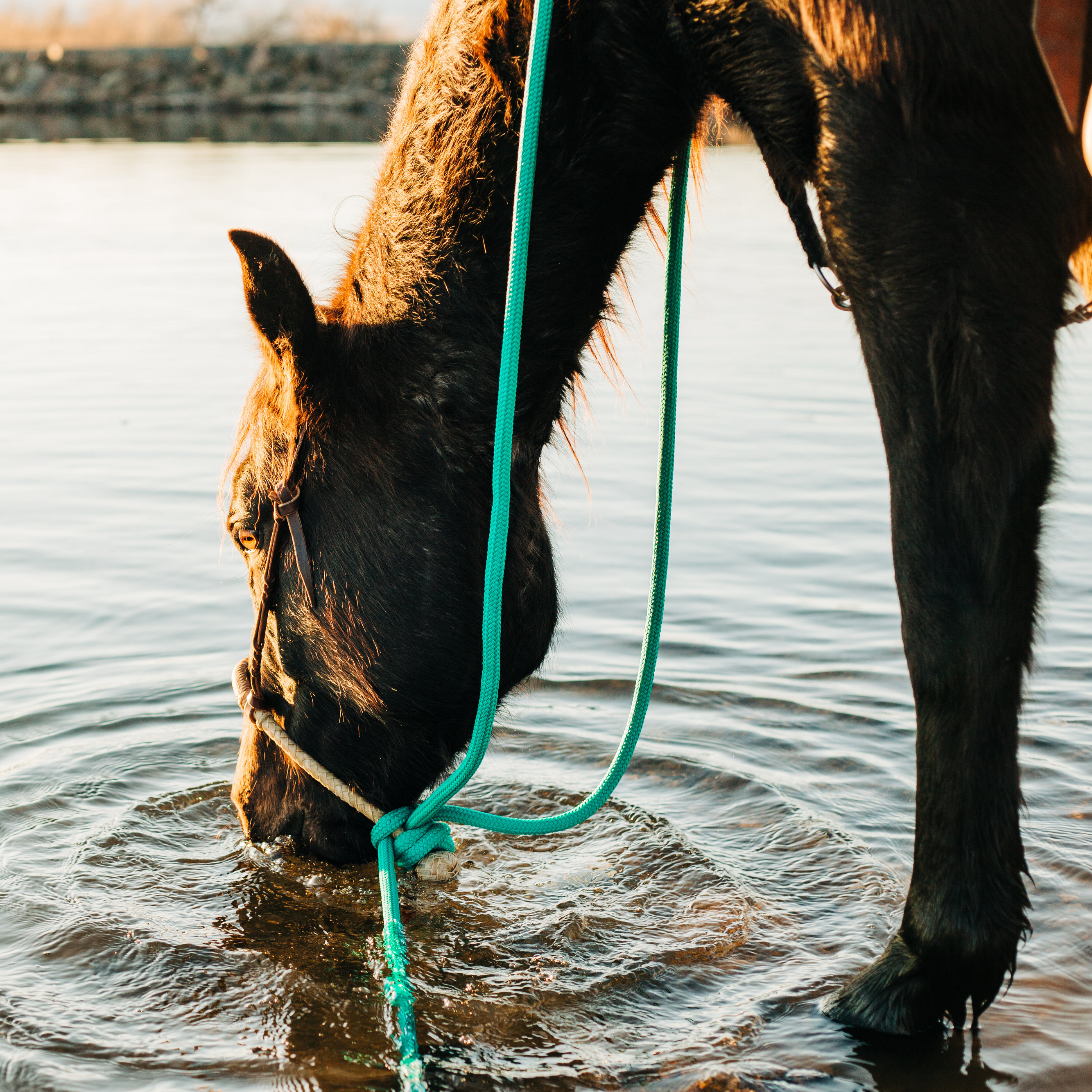 22 Ft Clinician Mecate Reins